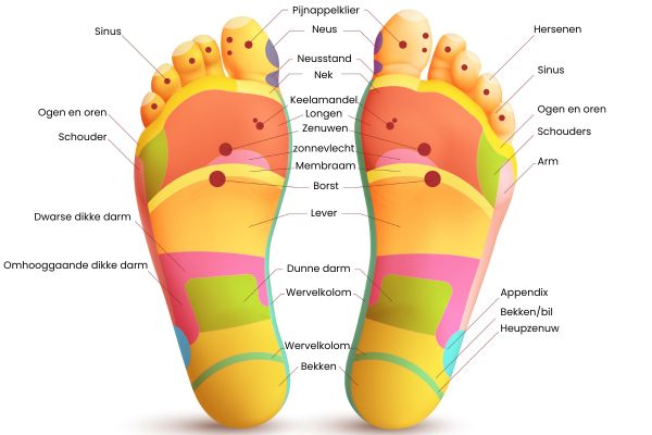 Drukpunten zones in de voeten