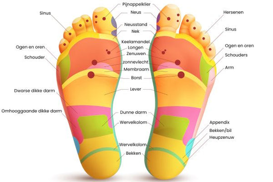 Drukpunten zones in de voeten