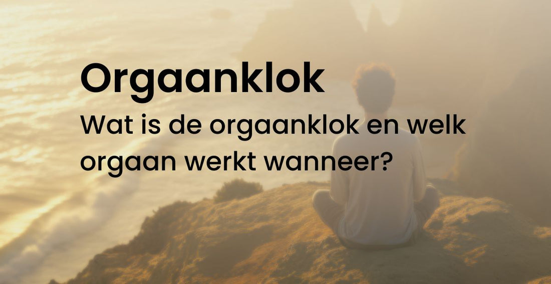 Orgaanklok Wat is de orgaanklok en welk orgaan werkt wanneer?