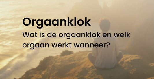 Orgaanklok Wat is de orgaanklok en welk orgaan werkt wanneer?