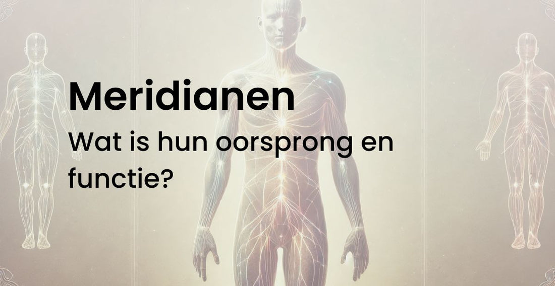 Meridianen wat is hun oorsprong en functie